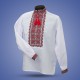 Embroidered shirts "Colourful Ukraine"